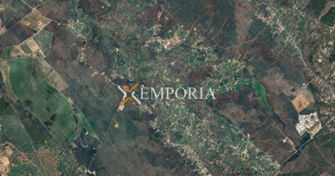 Građevinsko zemljište L475 – Nin, Žerava