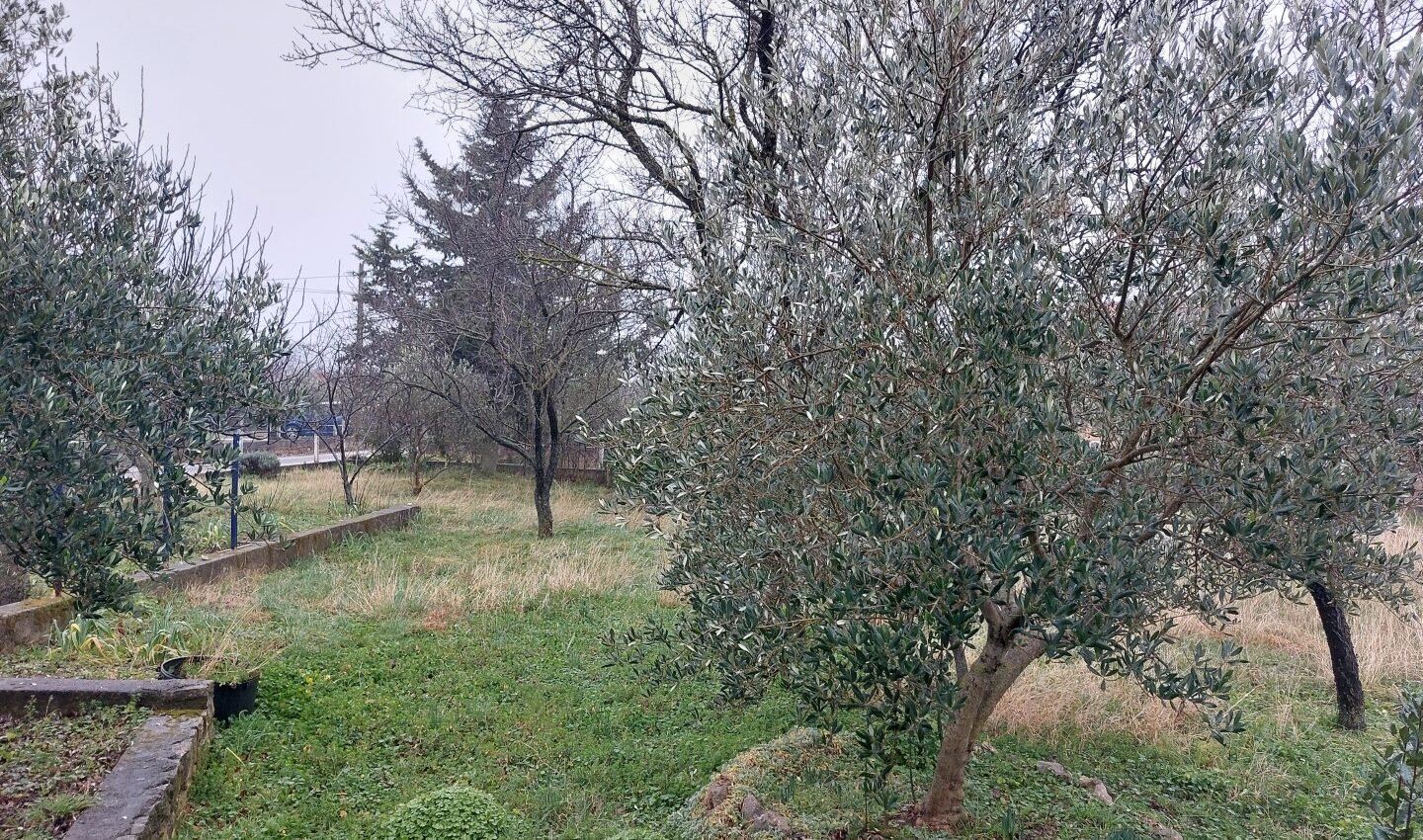 Građevinsko zemljište L486 – Poličnik