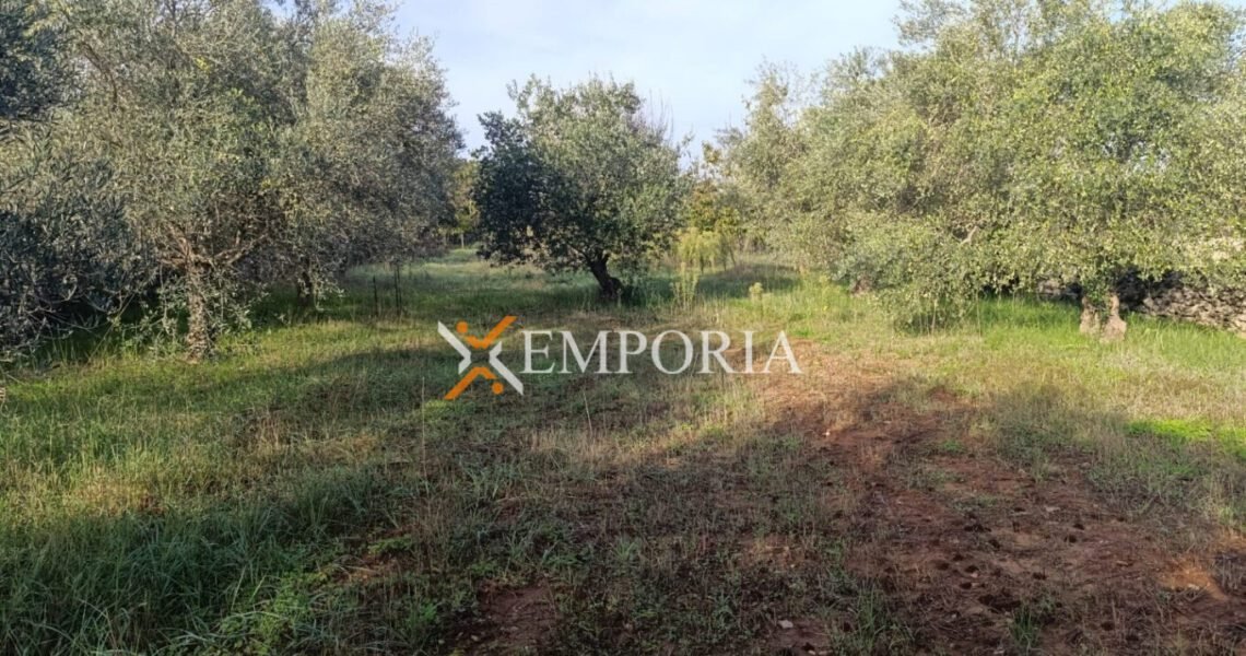 Građevinsko zemljište L501 – Sukošan, Debeljak