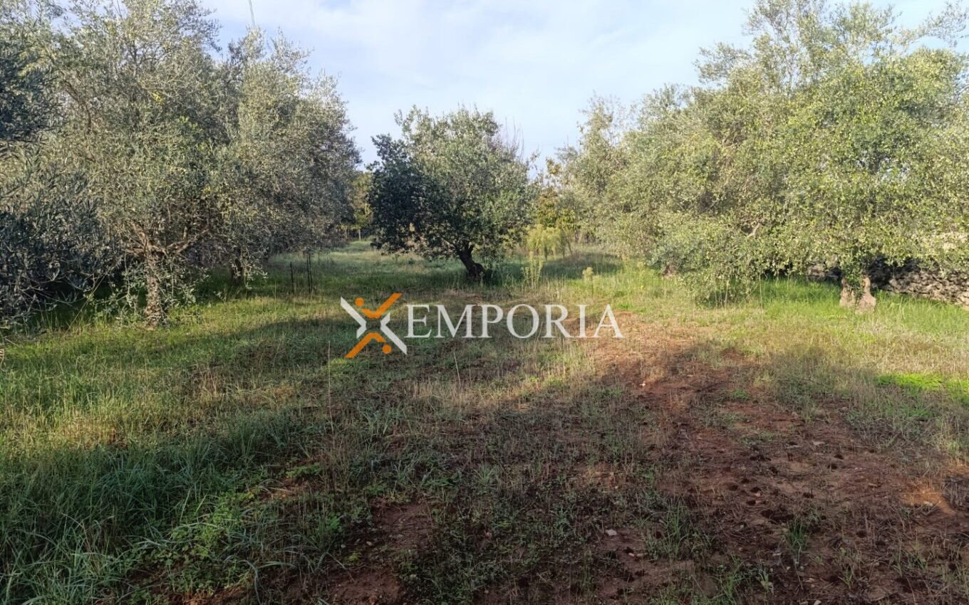 Građevinsko zemljište L501 – Sukošan, Debeljak