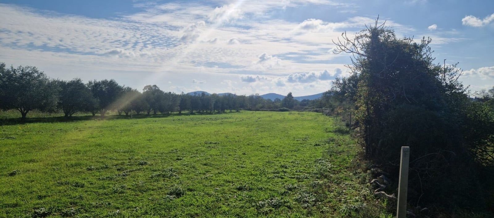 Građevinsko zemljište L543 – Galovac Građevinsko zemljište L543 – Galovac